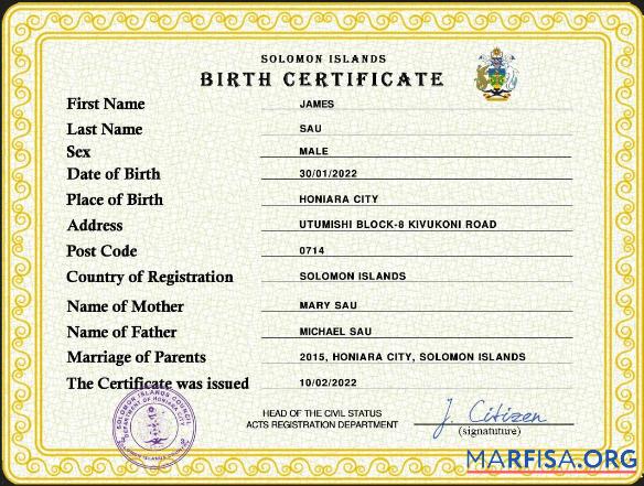 Downloadable Solomon vital record birth certificate PSD template